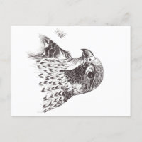 FALCON