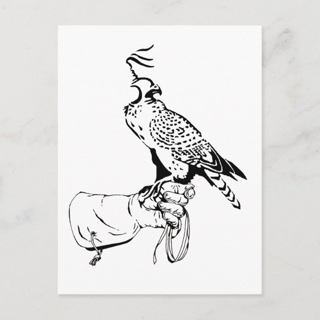 Falcon on Glove Postcard (Front)