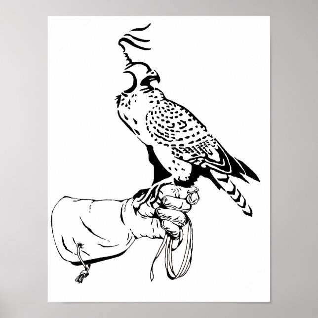 Falcon on Glove Poster (Front)