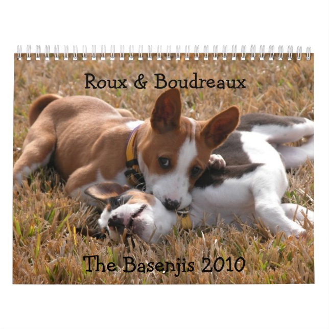 Falcon Photography Basenji Calendar 2010 (Cover)
