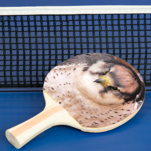 FALCON PING PONG PADDLE