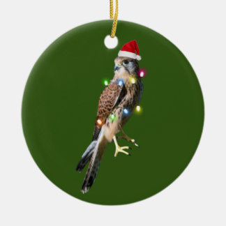 Falcon With Hat Lights Christmas Ceramic Ornament