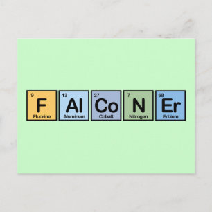 Falconer made of Elements Postcard