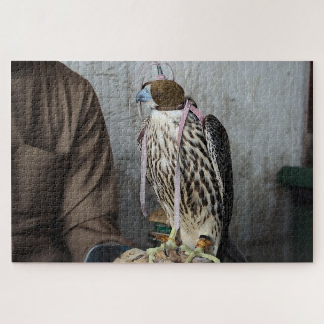 Falconry falcon jigsaw puzzle (Horizontal)