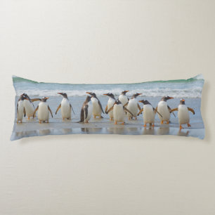 Falkland Islands. Saunders Island. Gentoo Body Pillow