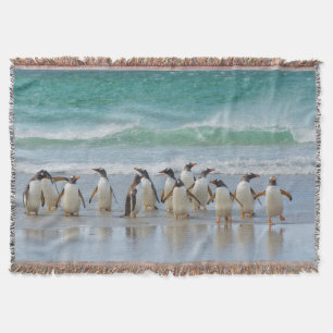 Falkland Islands. Saunders Island. Gentoo Throw Blanket