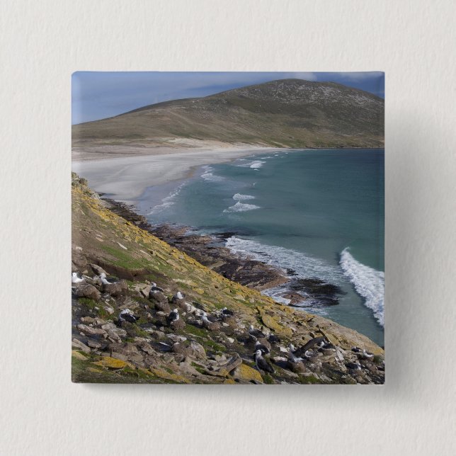 Falkland Islands, West Falkland, Saunders 2 Inch Square Button (Front)