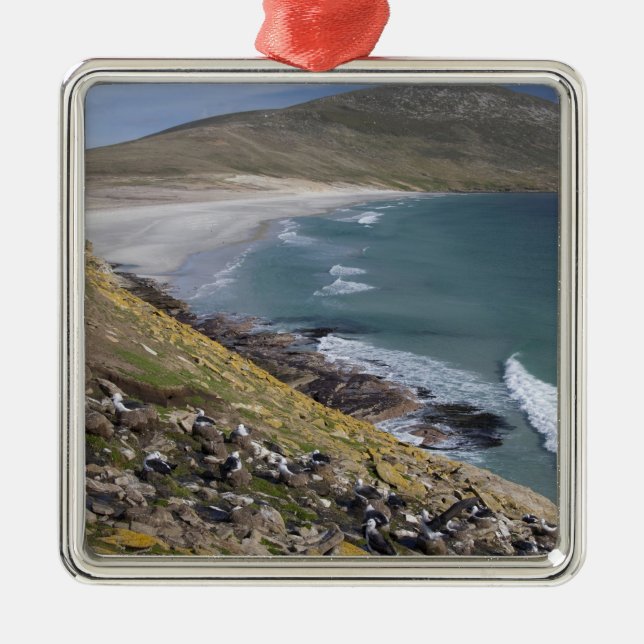 Falkland Islands, West Falkland, Saunders Metal Ornament (Front)