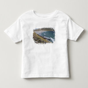 Falkland Islands, West Falkland, Saunders Toddler T-shirt