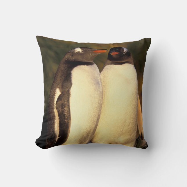 Falklands Islands. Gentoo Penguins.  (Pyroscelis Throw Pillow (Front)