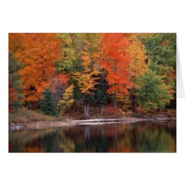 fall2 (Front Horizontal)