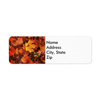 fall address return label