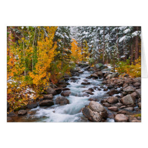 Fall along Bishop creek, California