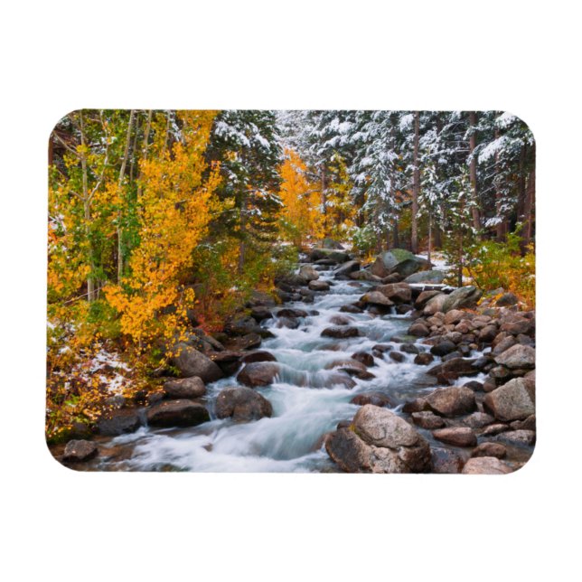 Fall along Bishop creek, California Magnet (Horizontal)