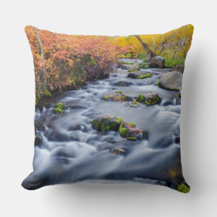 Fall along Lundy Creek, California Throw Pillow