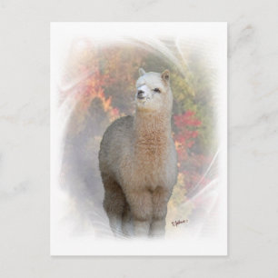 Fall Alpaca Postcard