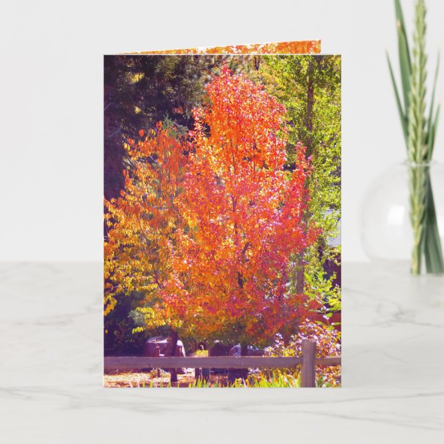 Fall and Thanksgiving Card 2 (Front)