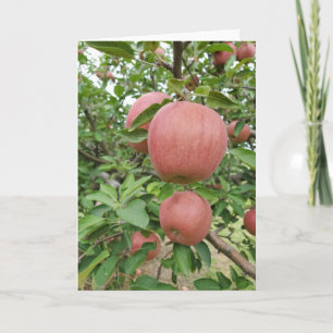 Fall Apple Orchard Card