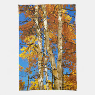 Fall Aspen Colour Nature Photograph © Sandy Long Kitchen Towel