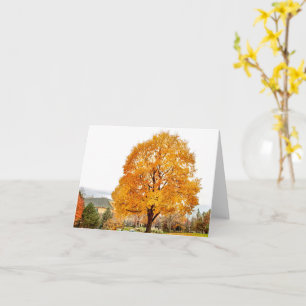 Fall at Blackbird Card
