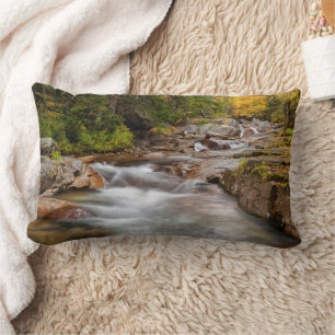 Fall at Jefferson Brook, New Hampshire Lumbar Pillow