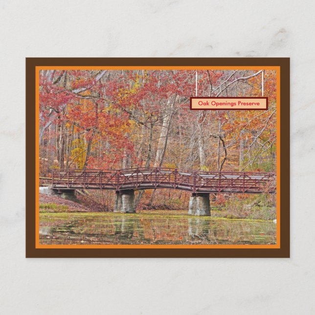 FALL AT OAK OPENINGS PRESERVE, TOLEDO OHIO AREA POSTCARD (Front)