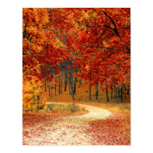 Fall Autumn Cottage Office Destiny's Destiny