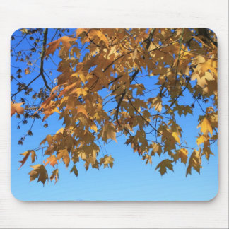 Fall,autumn leaves,trees and blue sky mouse pad
