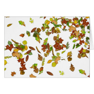 FALL / AUTUMN LEAVES,White