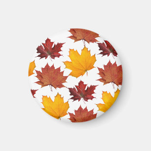 Fall Autumn maple leaves Magnet