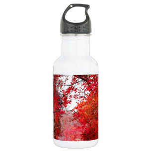 Fall Autumn Season Forest Park Shower Leaf Leaves 532 Ml Water Bottle