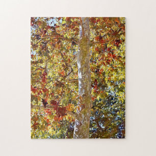 Fall Autumn Sycamore Tree Art Puzzle