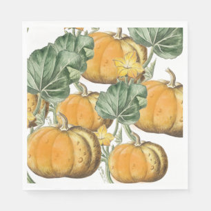 Fall Autumn Watercolor Vintage Pumpkins Napkin