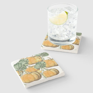 Fall Autumn Watercolor Vintage Pumpkins Stone Coaster