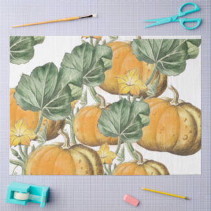 Fall Autumn Watercolor Vintage Pumpkins  Tissue Paper