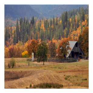 Fall beauty in Hayfork, California... Poster