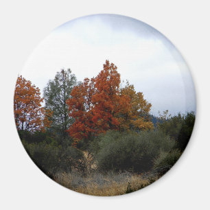 Fall beauty.... magnet