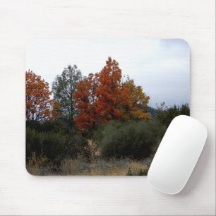 Fall beauty.... mouse pad