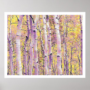 Fall Birch Poster