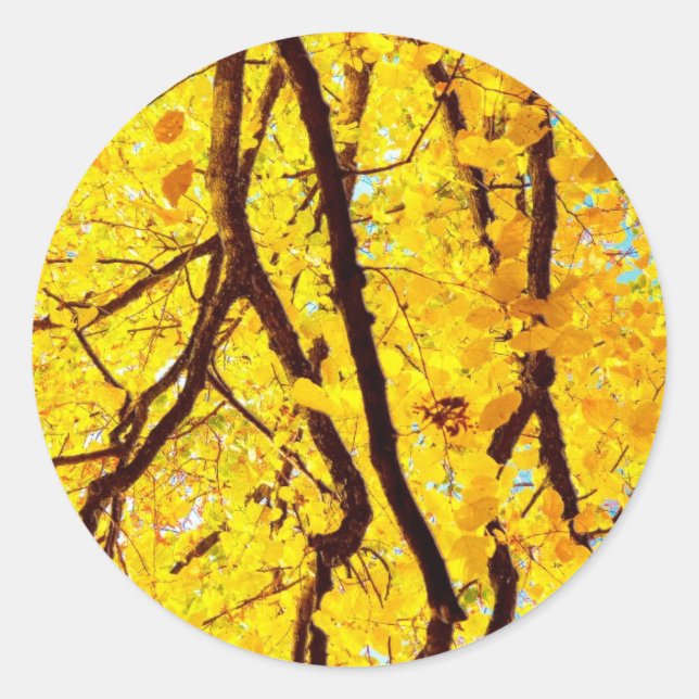 Fall branches - golden yellow classic round sticker (Front)
