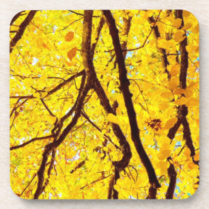Fall branches - golden yellow coaster