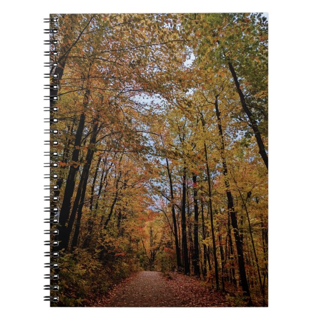Fall Canopy of Colour Notebook (Front)