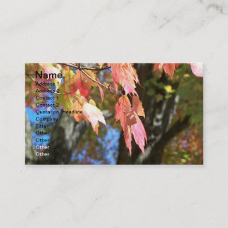 Fall Cards