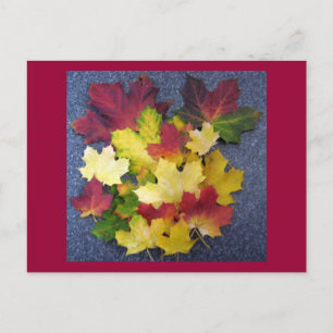 Fall collection postcard