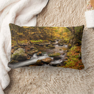 Fall Color Jefferson Brook   White Mountains Lumbar Pillow