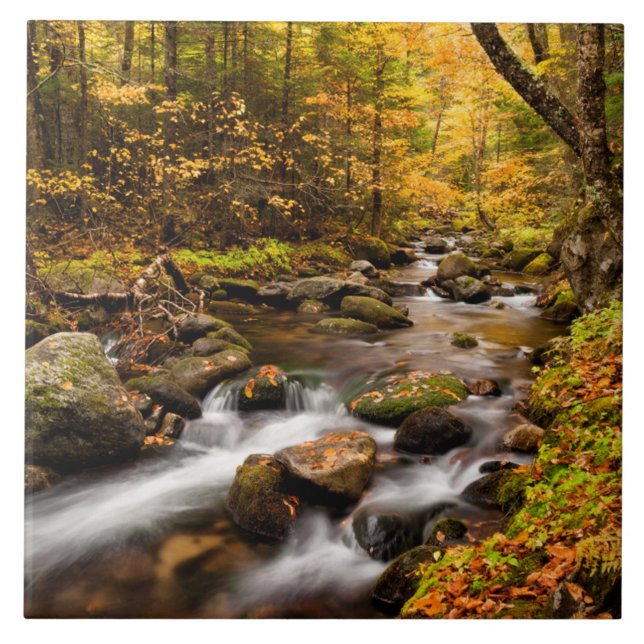Fall Color Jefferson Brook | White Mountains Tile (Front)