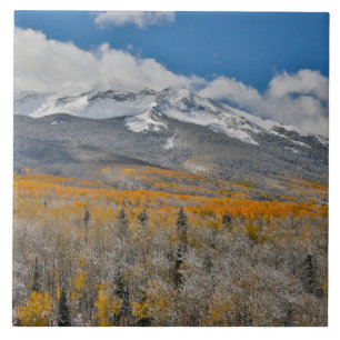 Fall Colors Aspens &    Rocky Mountains, Colorado Tile