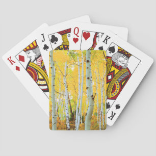 Fall colors of Aspen trees 1 Playing Cards