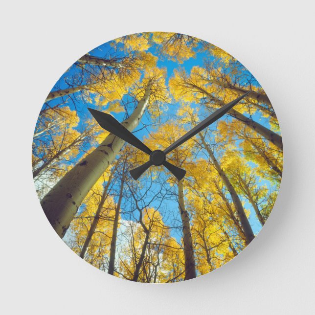 Fall colors of Aspen trees 2 Round Clock (Front)