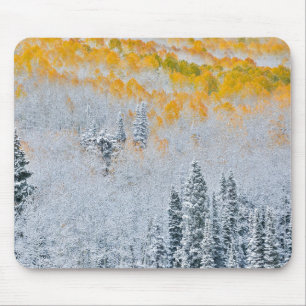 Fall Colors of Aspens   Rocky Mountains, Colorado Mouse Pad